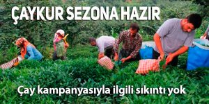 Çaykur sezona hazır. Çay kampanyasıyla ilgili sıkıntı yok