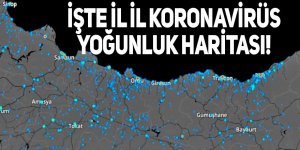 İşte il il koronavirüs yoğunluk haritası!