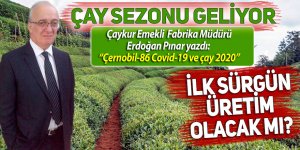 Çay sezonu geliyor. İlk sürgün üretim olacak mı?