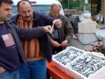 Karadeniz hamsisi pazarda
