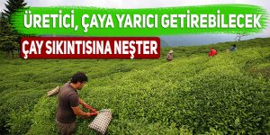 Üretici, çaya yarıcı getirebilecek