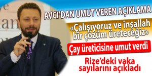 Avcı Rize'deki vaka sayılarını açıkladı çaycıya umut verdi