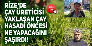 Rize'de çay üreticisi yaklaşan çay hasadı öncesi ne yapacağını şaşırdı