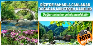 Rize'de baharla canlanan doğadan muhteşem kareler