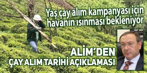 Yaş çay alım kampanyası için havanın ısınması bekleniyor