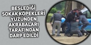 Baktığı sokak köpekleri yüzünden akrabaları tarafından darp edildi