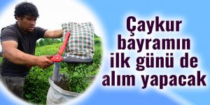 Çaykur bayramın ilk günü de alım yapacak