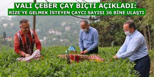 Rize'ye gelmek isteyen çaycı sayısı 36 bine ulaştı