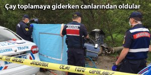 Çay toplamaya giderken canlarından oldular