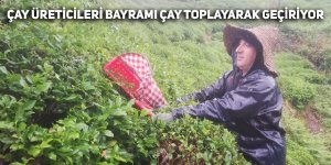  Çay üreticileri bayramı çay toplayarak geçiriyor