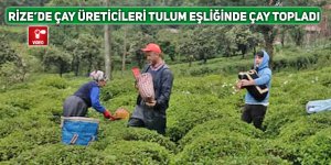 Rize’de çay üreticileri tulum ile müzik eşliğinde çay topladı