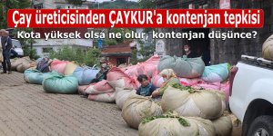 Çay üreticisinden ÇAYKUR'a kontenjan tepkisi