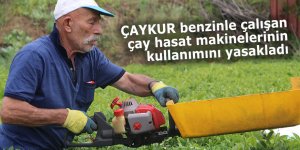 ÇAYKUR benzinle çalışan çay hasat makinelerinin kullanımını yasakladı