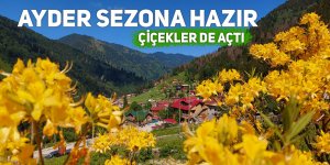 Ayder ve Kaçkar Yaylaları turizm sezonuna hazırlanıyor