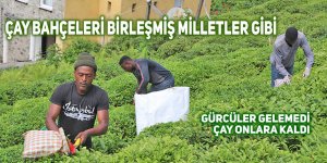 Çay bahçeleri Birleşmiş Milletler gibi