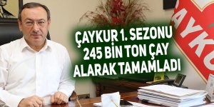 Çaykur 1. sezonu  245 bin ton çay alarak tamamladı