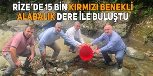 Rize’de 15 bin kırmızı benekli alabalık dere ile buluştu