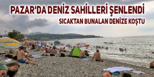 Pazar'da deniz sahilleri şenlendi