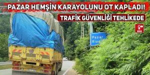 Pazar Hemşin karayolunu ot kapladı!