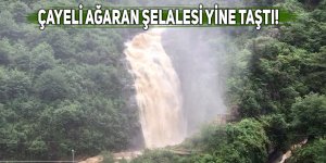 Rize'nin turizm merkezi Ağaran Şelalesi yine taştı