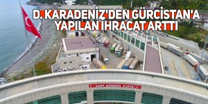 D. Karadeniz'den Gürcistan'a yapılan ihracat arttı