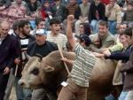 Artvin'de boğalar 1 kişiyi yaraladı