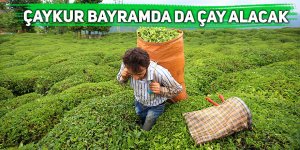 Çaykur bayramda da çay alacak