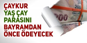 Çaykur yaş çay parasını bayramdan önce ödeyecek