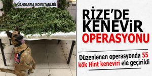 Rize'de Hint keneviri operasyonu