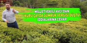 Avcı'dan 'Kuru çayda gümrük vergisi düştü' iddialarına cevap