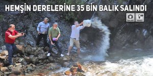 Hemşin derelerine 35 bin balık salındı