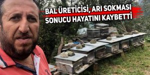 Bal üreticisi, arı sokması sonucu hayatını kaybetti