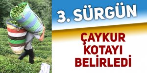 Çayda 3. sürgün kotası belli oldu