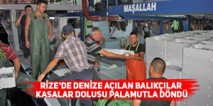 Rize'de denize açılan balıkçılar kasalar dolusu palamutla döndü