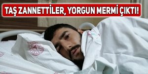 Taş zannettiler, yorgun mermi çıktı!