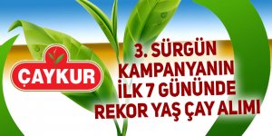 Çaykur'dan rekor yaş çay alımı