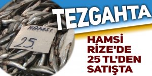 Hamsi Rize'de 25 TL'den tezgahtaki yerini aldı