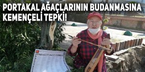 Portakal ağaçlarının budanmasına kemençeli tepki!