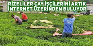 Rizeliler çay işçilerini artık internet üzerinden buluyor