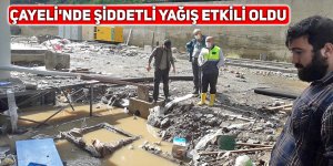 Çayeli'nde şiddetli yağış etkili oldu