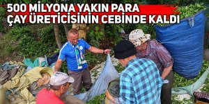 500 milyon para çay üreticisinin cebinde kaldı