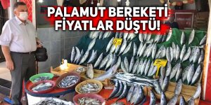 Palamut bereketi. Fiyatlar düştü!