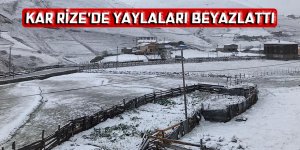 Kar Rize'nin yaylalarını beyaza bürüdü