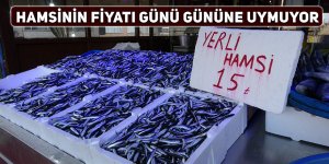 Hamsinin fiyatı günü gününe uymuyor