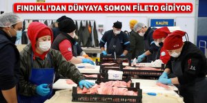 Fındıklı'dan dünyaya somon fileto satıyor