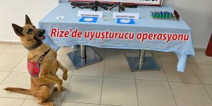 Rize'de uyuşturucu operasyonu