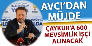 ÇAYKUR 600 mevsimlik işçi alacak