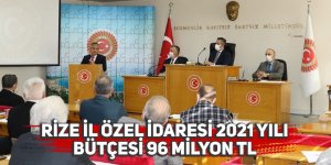 Rize İl Özel İdaresi 2021 yılı bütçesi 96 Milyon TL