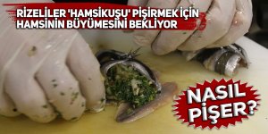 Rizeliler 'Hamsikuşu' pişirmek için hamsinin büyümesini bekliyor