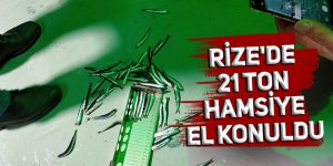 Rize'de 21 ton hamsiye el konuldu